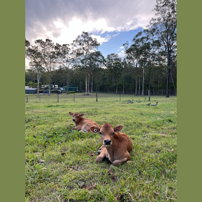 Photo of Austin And Elvis