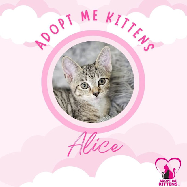 Photo of Alice