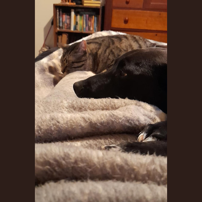 Photo of Sadie
