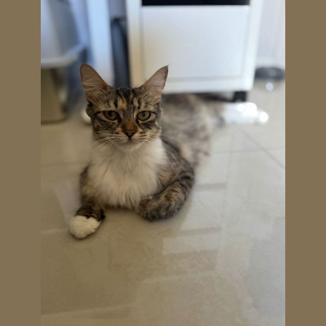 Photo of Sugar