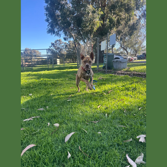 Photo of Ariel 