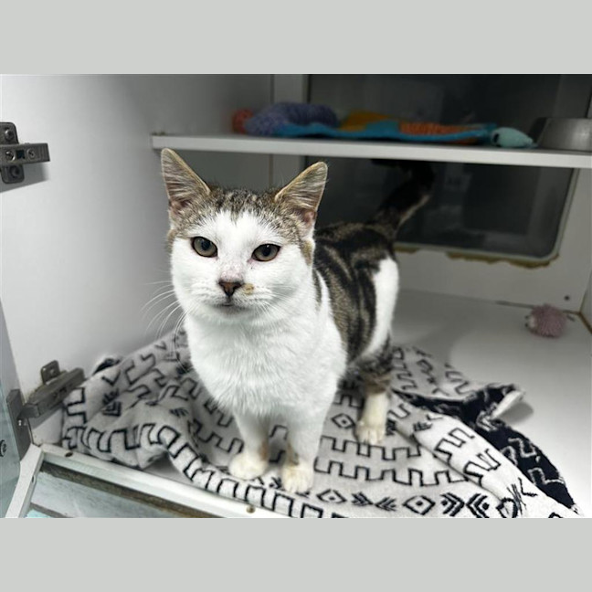 Photo of Kiki