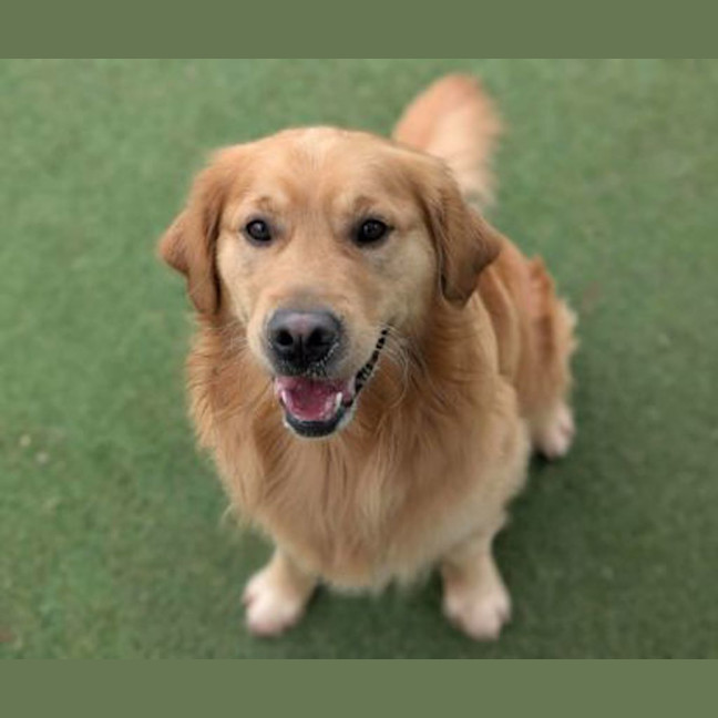 Photo of Charlie