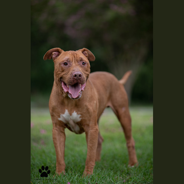 Photo of Bronx