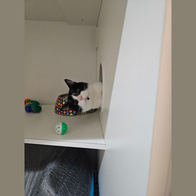 Photo of Lucy