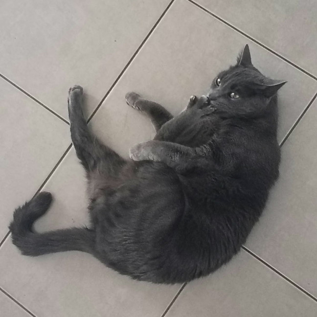 Photo of Lenny