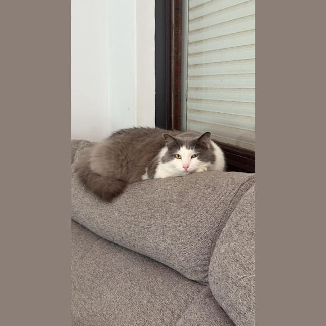 Photo of Carla