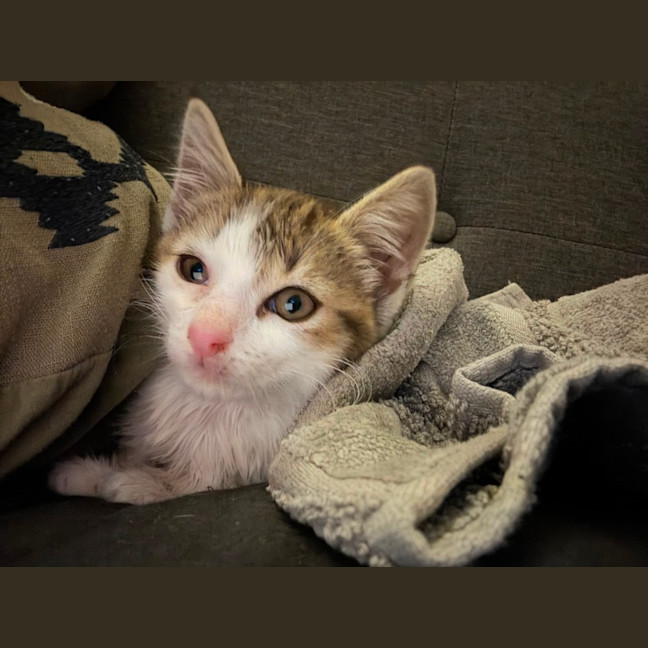 Photo of Lexii