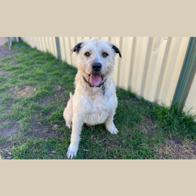 Photo of Marlo