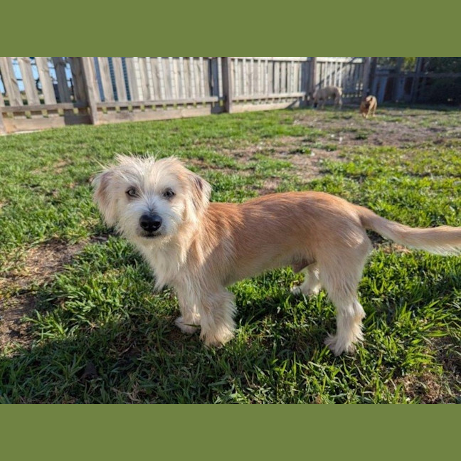 Photo of Georgie O'cleary