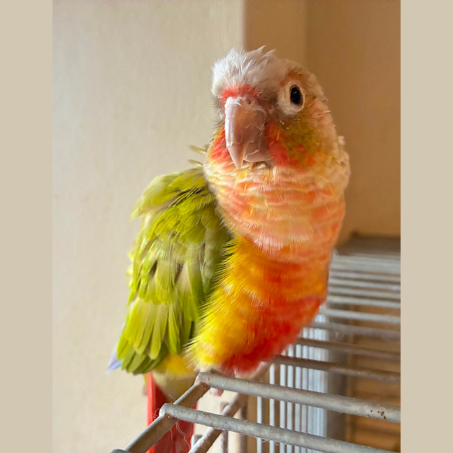 Photo of Marty