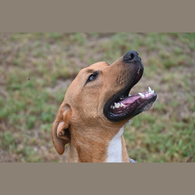 Photo of Max