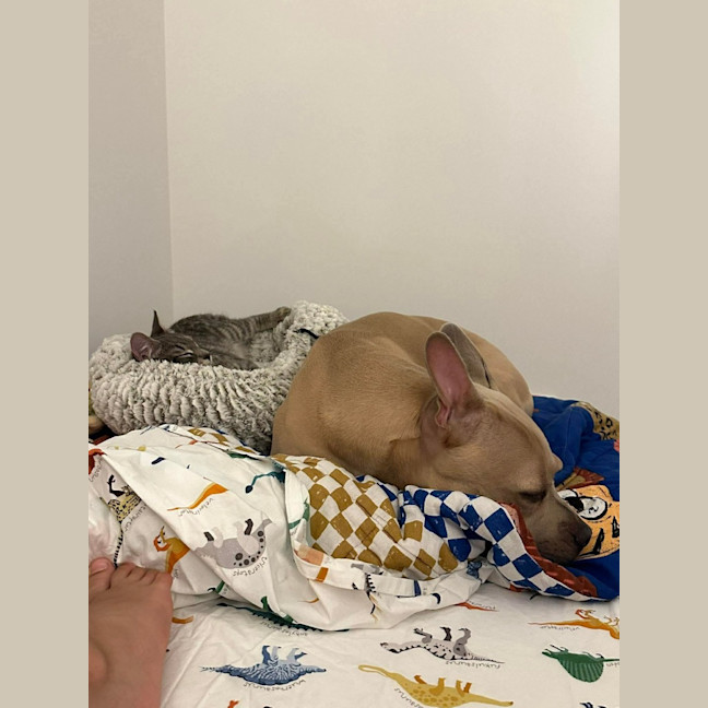Photo of Daisy