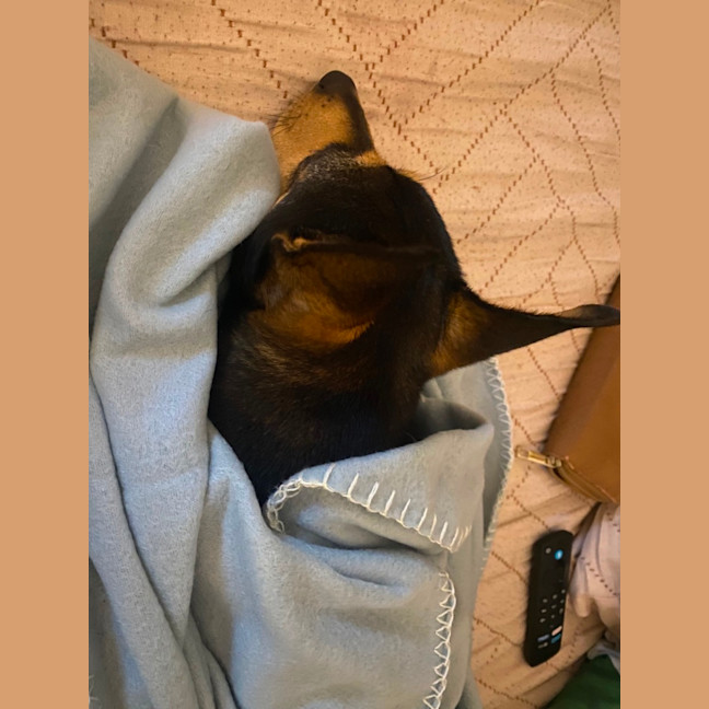 Photo of Young Dexter 