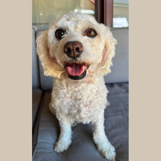 Photo of Mia