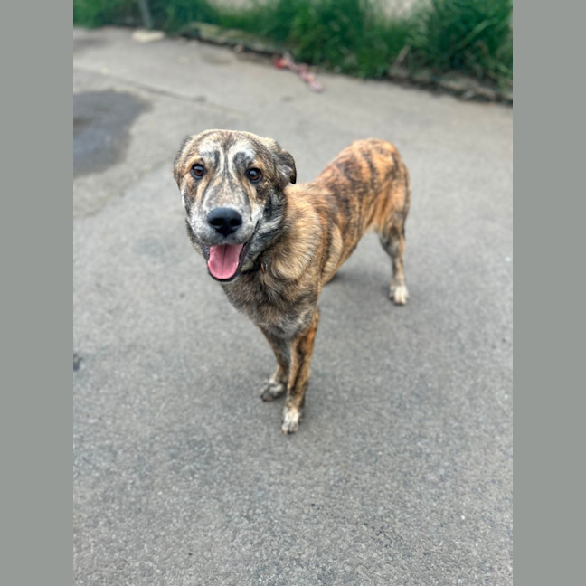 Photo of Frank Sinatra