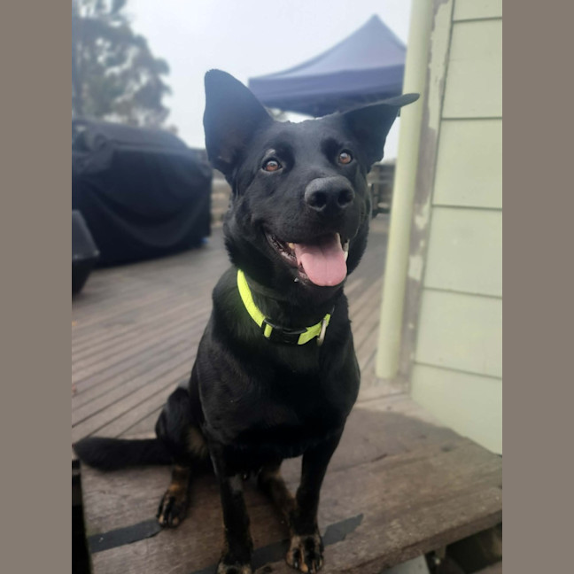 Photo of Jasper