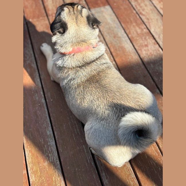 Photo of Betty
