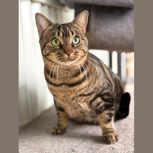 Photo of Angel 