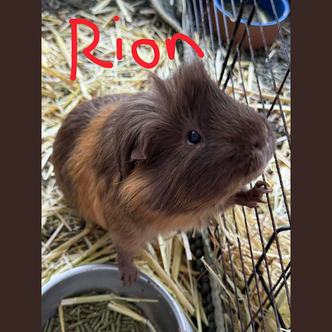 Photo of Rion & Paxton