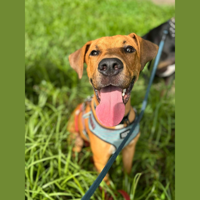Photo of Chase