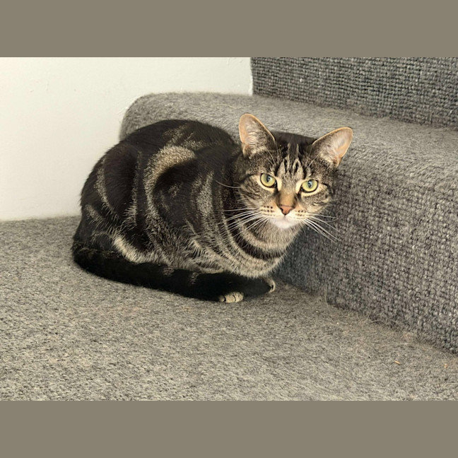 Photo of Mini