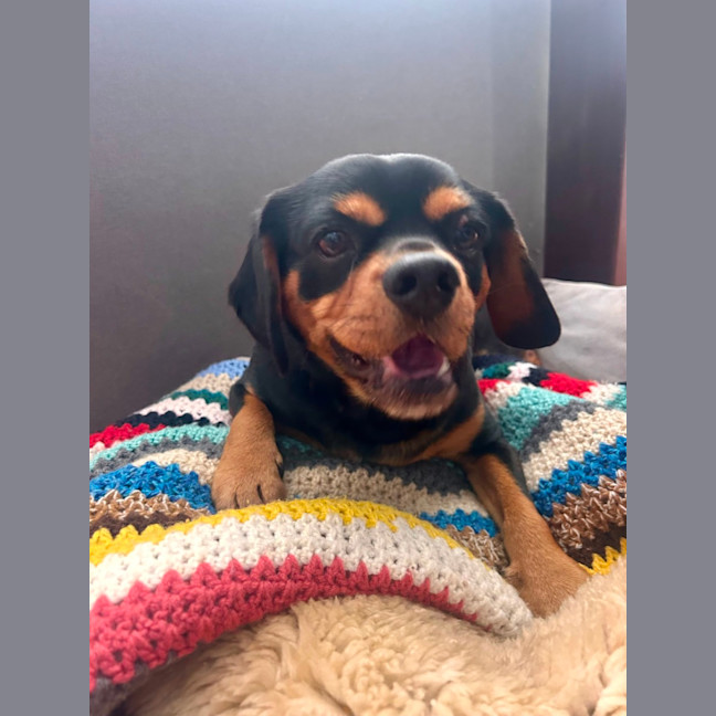 Photo of Buster