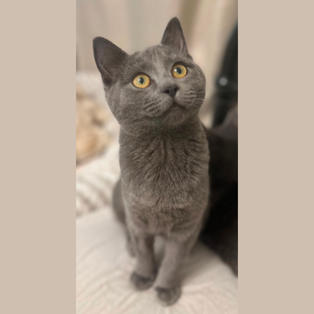 Photo of Hazel And Violet 