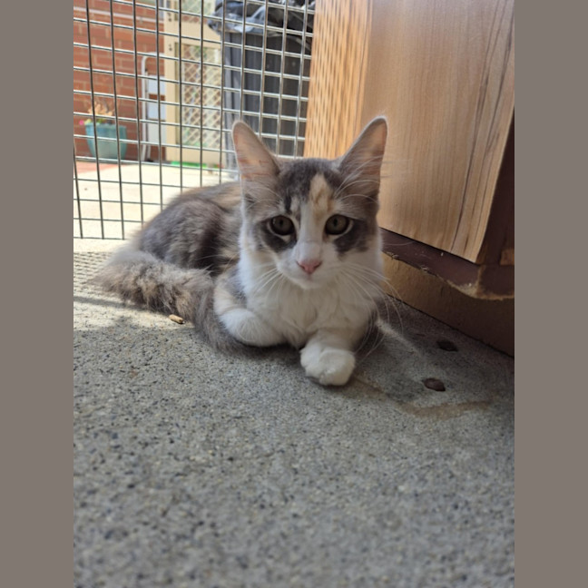 Photo of Ella! ❤️