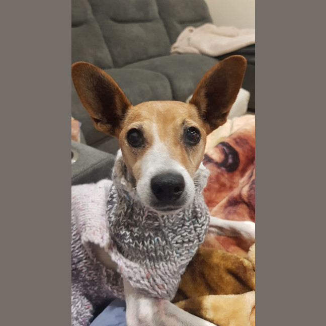 Photo of Ruby Tuesday