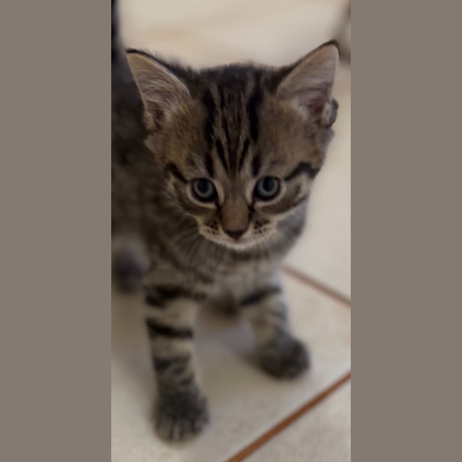 Photo of Eggnog