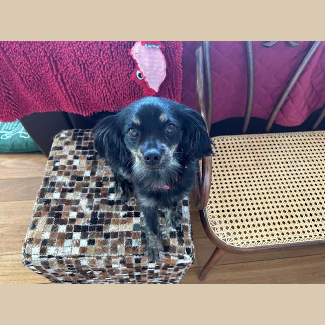 Photo of Tommy Allbright