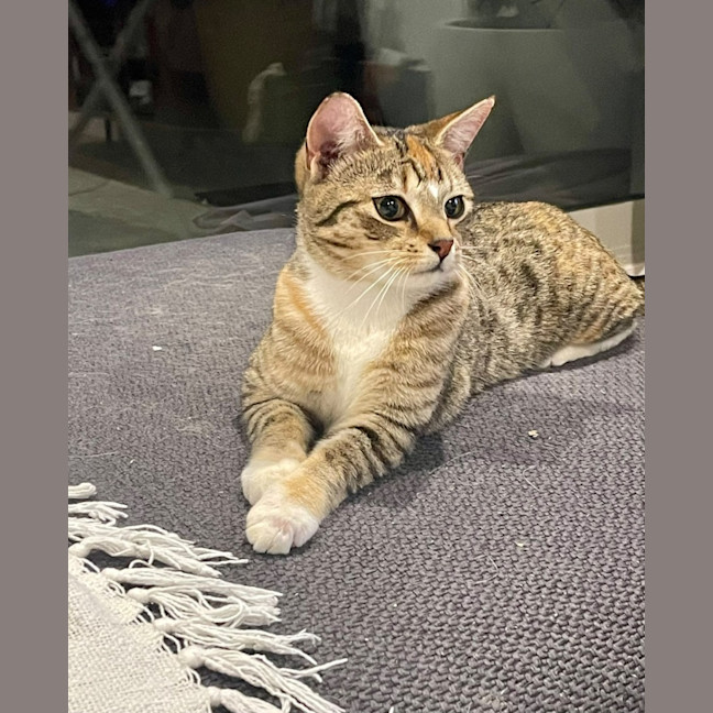 Photo of Chloe