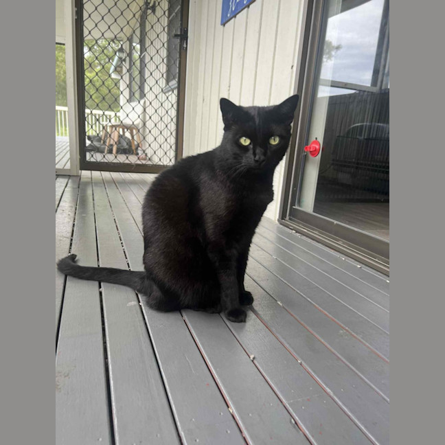 Photo of Ghetto & Gucci