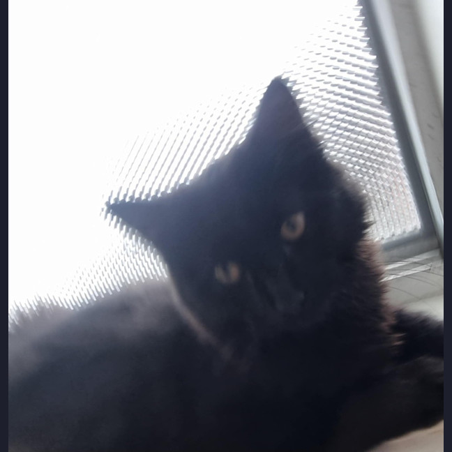 Photo of Jordan