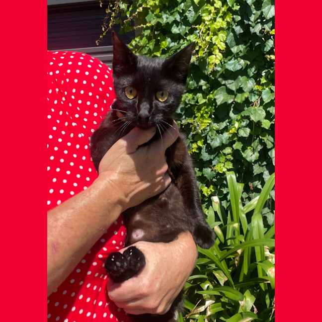 Photo of Marge (With Homer)