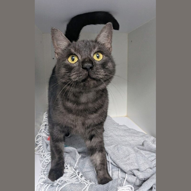 Photo of Sooty