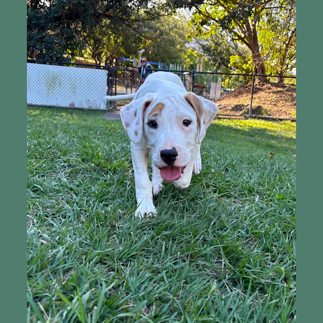 Photo of Yoshi 