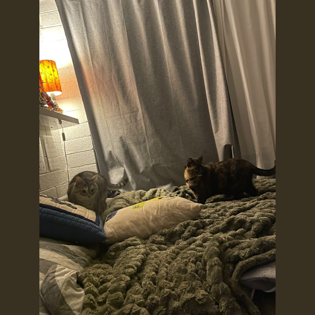 Photo of Jazzy