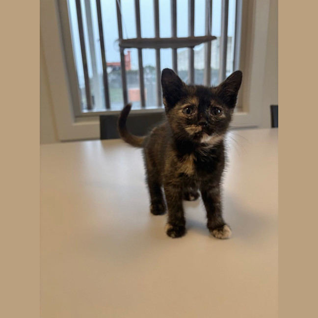 Photo of Stormi