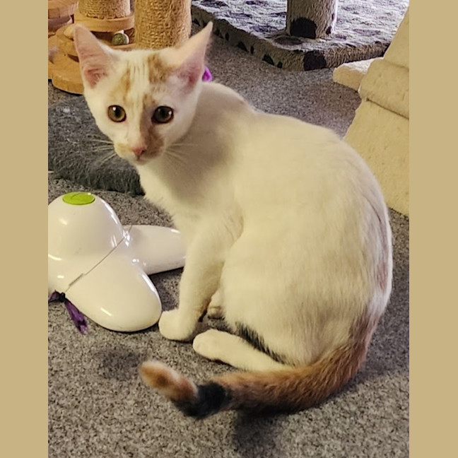 Photo of Evie