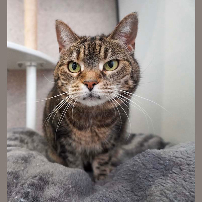 Photo of Cleo