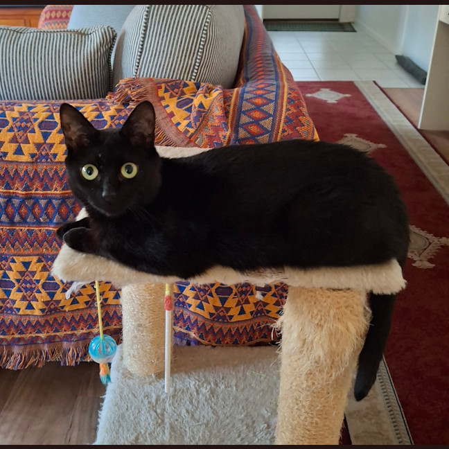 Photo of Princess Luna