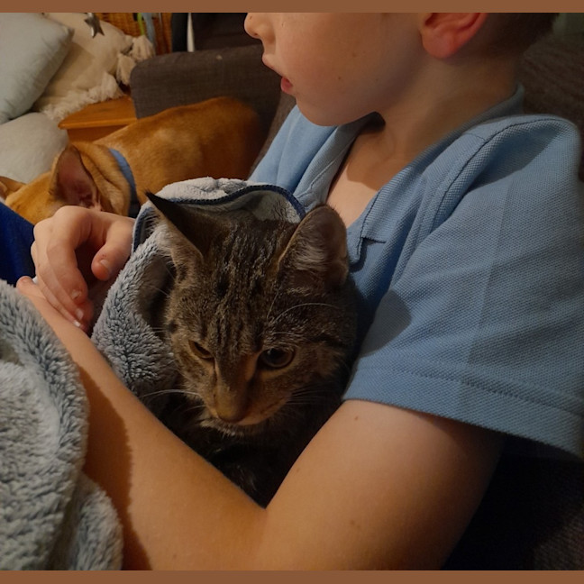 Photo of Jennifer Sparkles