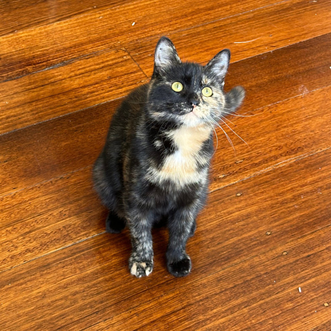 Photo of Heidi