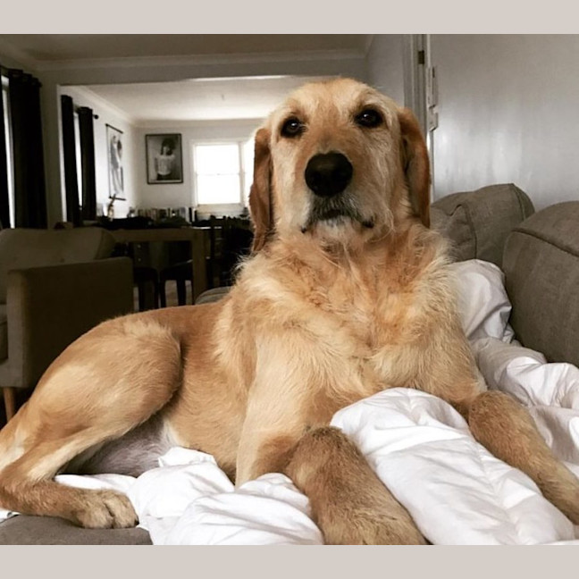 Photo of Boris