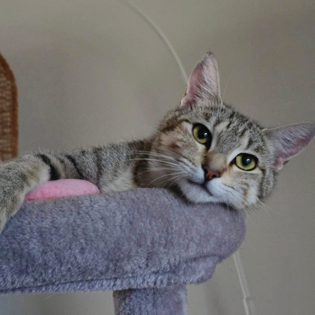 Photo of Nini