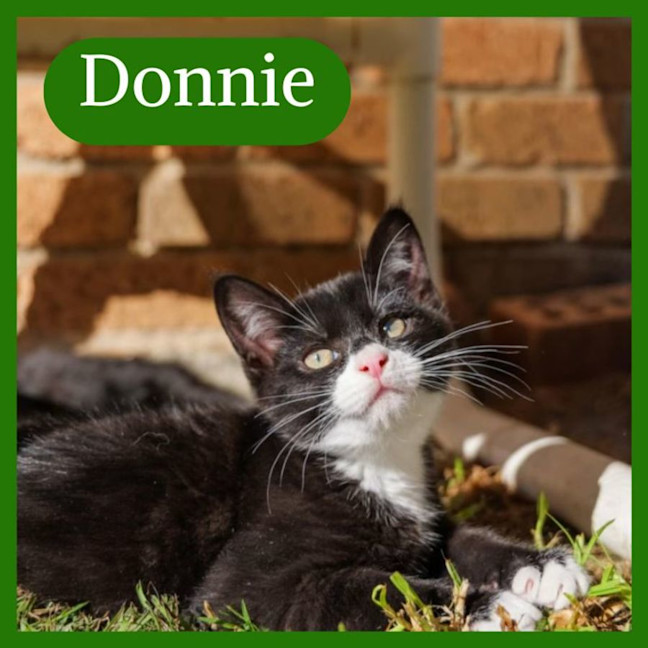 Photo of Donnie