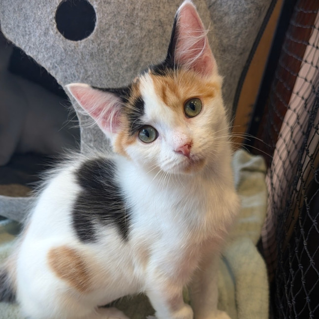 Photo of Baby Stinky