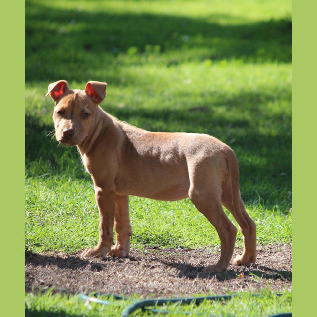 Photo of Dottie